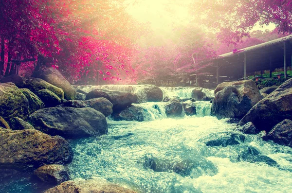 Air Terjun Indah Dengan Pelangi Hutan Dalam Taman Nasional Thailand — Stok Foto