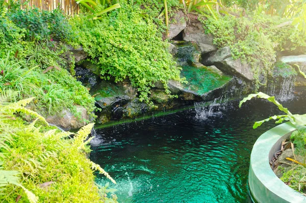 Mały tropikalny ogród wodospad — Zdjęcie stockowe