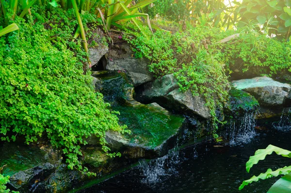 Mały tropikalny ogród wodospad — Zdjęcie stockowe