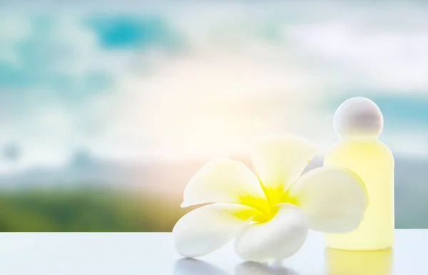 Frangipani plumeria spa çiçek
