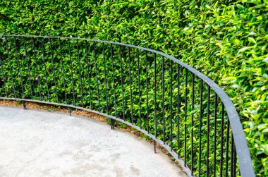 yeşil bahçe duvar arka plan