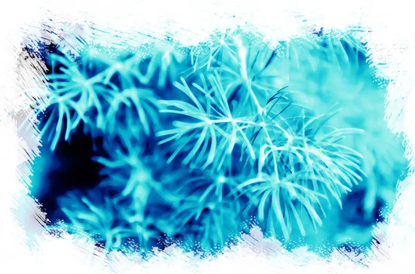 Lindas folhas de inverno geladas no fundo da natureza azul, clos — Fotografia de Stock