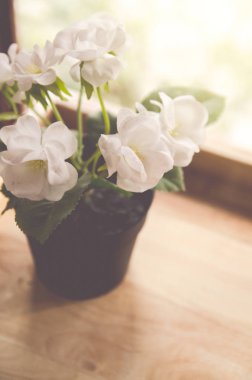 çiçek saksı dekorasyon ahşap tablo