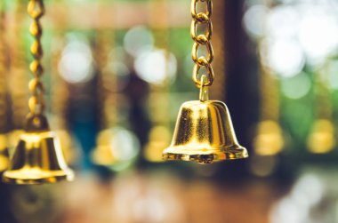 Jingle bell ve Noel ağacı dalları