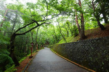 Egzersiz yapmak ve dinlenmek için ağaçların olduğu parkta.