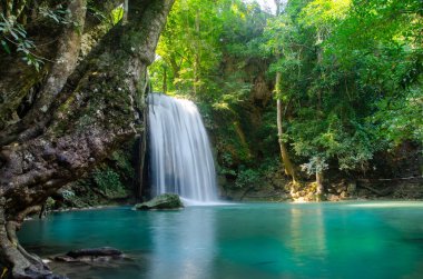 Ormanın derinliklerindeki şelale, Tayland ve doğa geçmişi 