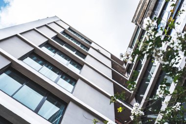 apartman odası oturma alanı , vintage sesi