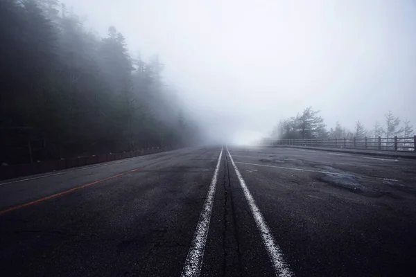Asphalt Road Goes Misty Dark Pine Tree Forest Japan — Stock Photo, Image