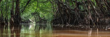 Sang Nae Kanalı Tayland 'daki Pang-nga' daki küçük Amazon. 