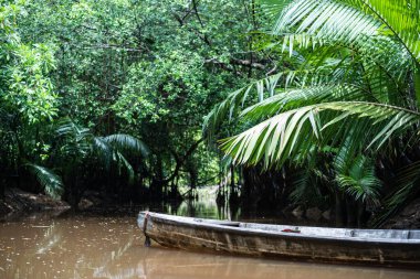 Sang Nae Kanalı Tayland 'daki Pang-nga' daki küçük Amazon. 