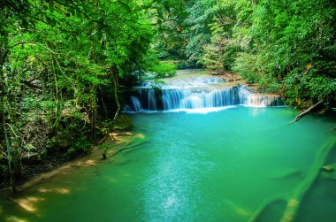 Ormanın derinliklerindeki şelale, Tayland 