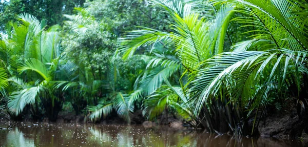the little amazon in pang-nga in Sang Nae Canal thailand 