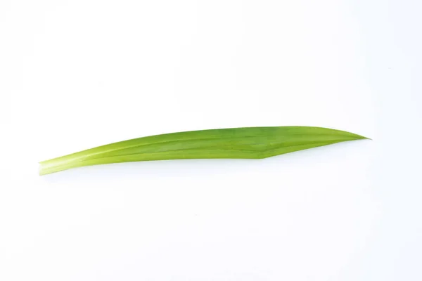 Świeże Zielone Liście Białym Tle — Zdjęcie stockowe