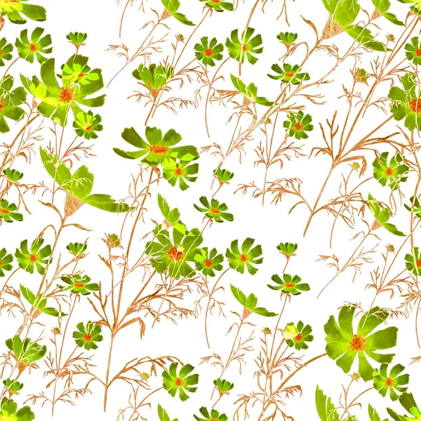 Bloemen Naadloos Patroon Met Aquarel Veld Bloemen Cosmosbloemen Botanisch Behang — Stockfoto