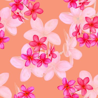 Süslü, dikişsiz ve suluboya tropikal çiçekli bir baba. Plumeria 'da. Renkli yaz doğa arka planı.