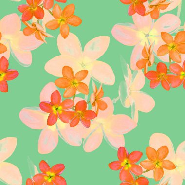 Süslü, dikişsiz ve suluboya tropikal çiçekli bir baba. Plumeria 'da. Renkli yaz doğa arka planı.