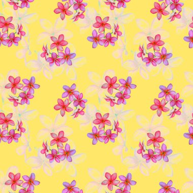 Süslü, dikişsiz ve suluboya tropikal çiçekli bir baba. Plumeria 'da. Renkli yaz doğa arka planı.
