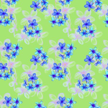 Süslü, dikişsiz ve suluboya tropikal çiçekli bir baba. Plumeria 'da. Renkli yaz doğa arka planı.