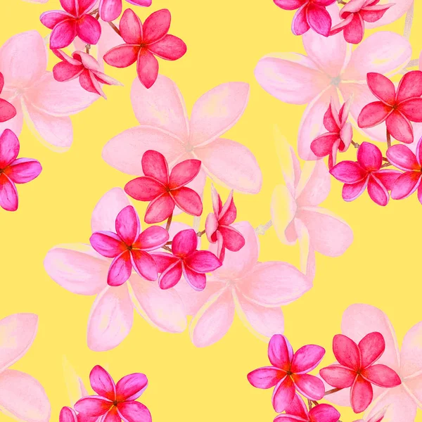 Decorative Floral Seamless Patern Watercolor Tropical Flowers Plumeria Colorful Summer — Stock Photo, Image