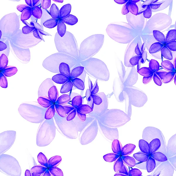 Dekoratív Virágos Zökkenőmentes Patern Akvarell Trópusi Virágok Pluméria Színes Nyári — Stock Fotó