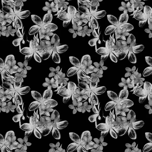 Διακοσμητική Floral Απρόσκοπτη Patern Υδατογραφία Τροπικά Λουλούδια Πλουμερία Πολύχρωμο Φόντο — Φωτογραφία Αρχείου