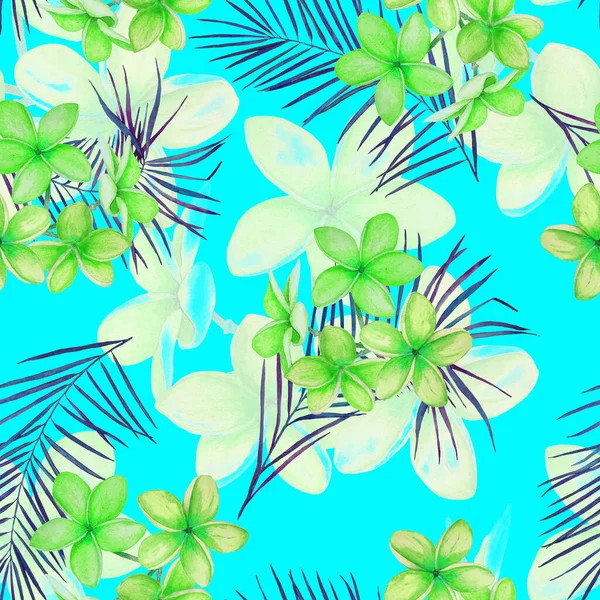 Decorative Floral Seamless Patern Watercolor Tropical Flowers Plumeria Colorful Summer — Stock Photo, Image