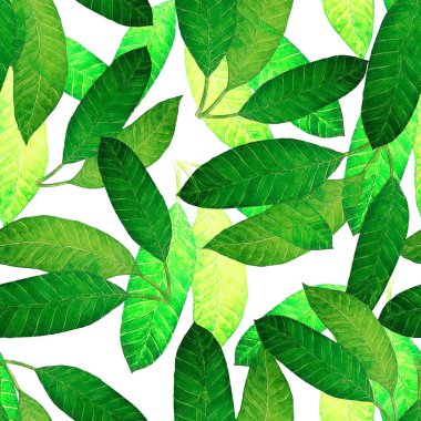 Soyut dekoratif, dikişsiz, suluboya tropikal yapraklı desen. Renkli el çizimi çizimi. Eski egzotik arkaplan.