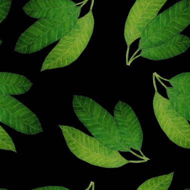 Soyut dekoratif, dikişsiz, suluboya tropikal yapraklı desen. Renkli el çizimi çizimi. Eski egzotik arkaplan.