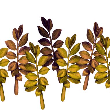 Soyut dekoratif, dikişsiz, suluboya tropikal yapraklı desen. Zamioculcas. Renkli el çizimi çizimi. Eski egzotik arkaplan.