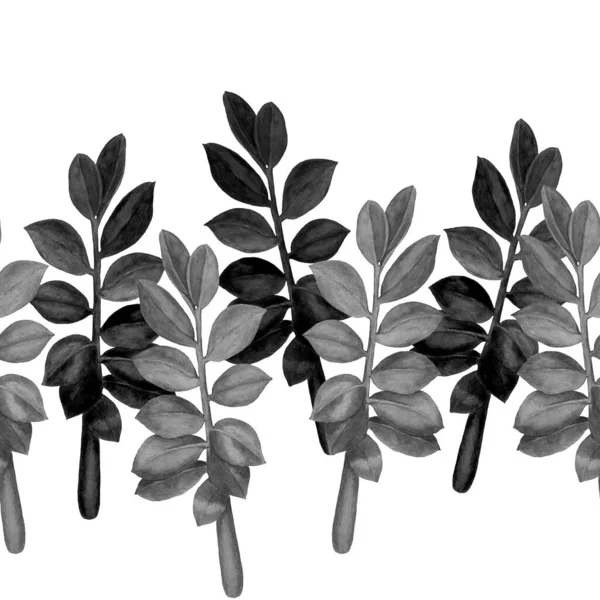 Abstraktes Dekoratives Nahtloses Muster Mit Tropischen Blättern Aquarell Zamiokulcas Bunte — Stockfoto