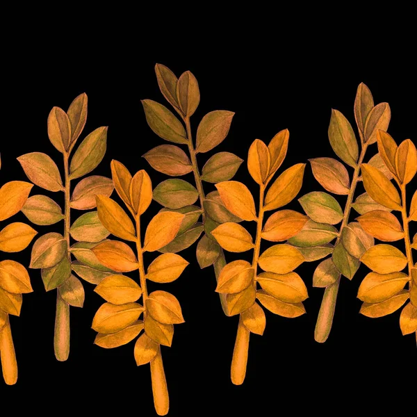 Rezumat Model Decorativ Fără Sudură Frunze Tropicale Acuarelă Zamioculcas Ilustrație — Fotografie, imagine de stoc