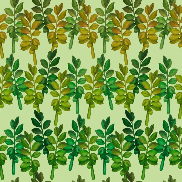 Abstrakcyjny Dekoracyjny Bezszwowy Wzór Akwarelowymi Liśćmi Tropikalnymi Zamioculcas Kolorowe Ręcznie — Zdjęcie stockowe