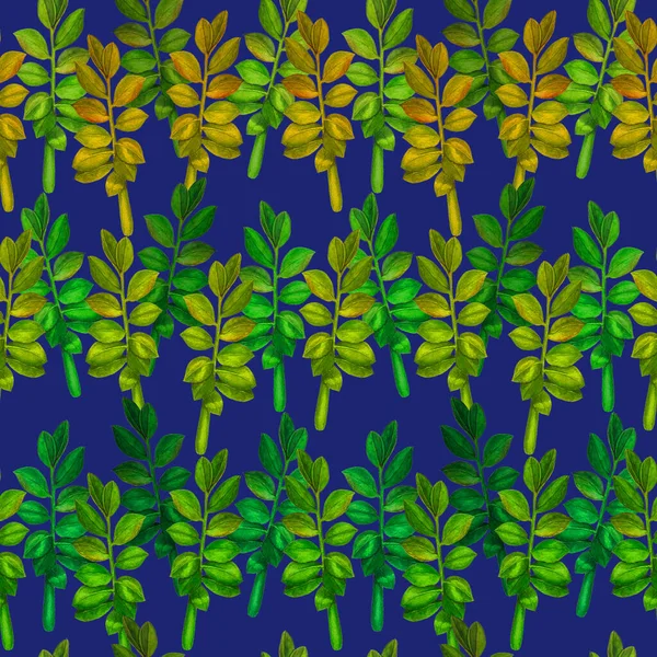 Soyut Dekoratif Dikişsiz Suluboya Tropikal Yapraklı Desen Zamioculcas Renkli Çizimi — Stok fotoğraf