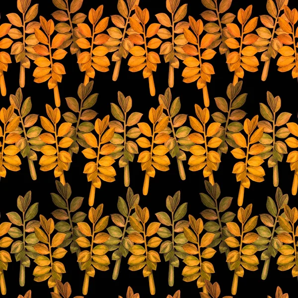 Abstract Decoratief Naadloos Patroon Met Aquarel Tropische Bladeren Zamioculcas Kleurrijke — Stockfoto