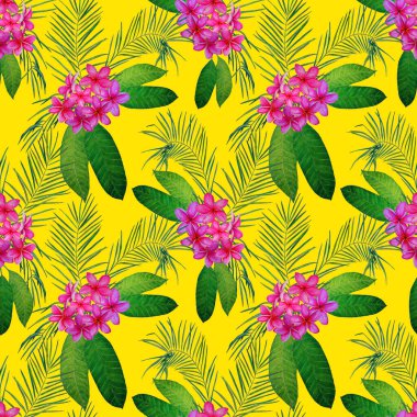 Süslü, dikişsiz ve suluboya tropikal çiçekli bir baba. Plumeria 'da. Renkli yaz doğa arka planı.