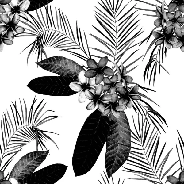 Декоративні Квіткові Безшовні Патерни Акварельними Тропічними Квітами Плюмерія Кольорове Літо — стокове фото