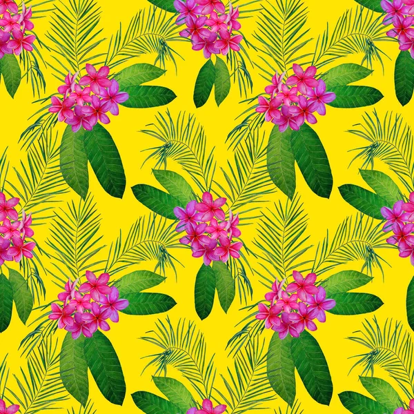 Dekorativní Květinové Bezešvé Patern Akvarelem Tropických Květin Plumeria Barevné Letní — Stock fotografie