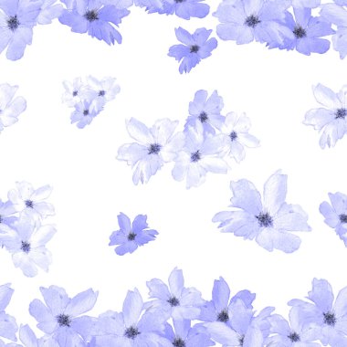 Süslü, dikişsiz ve suluboya tropikal çiçekli bir baba. Plumeria 'da. Renkli yaz doğa arka planı.