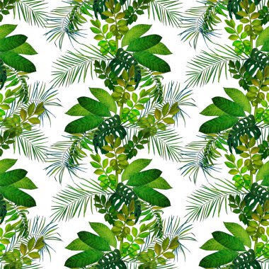 Soyut dekoratif, dikişsiz, suluboya tropikal yapraklı desen. Renkli el çizimi çizimi. Tropik yaz baskısı.