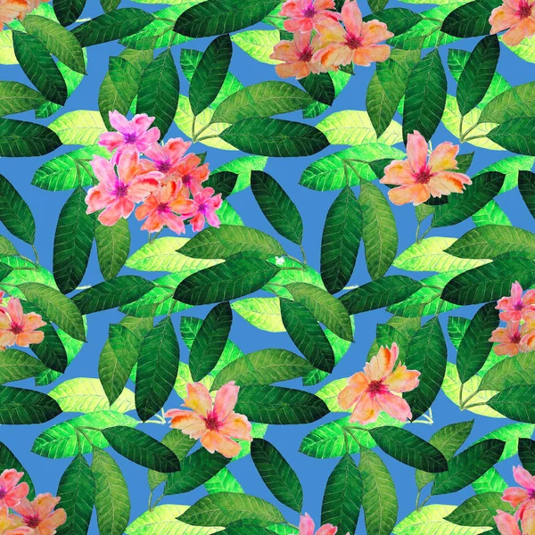 Decorative Floral Seamless Patern Watercolor Tropical Flowers Plumeria Colorful Summer — Stock Photo, Image