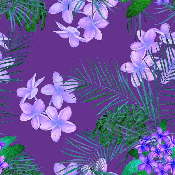 Dekoracyjny Kwiatowy Bezszwowy Patern Akwarelą Tropikalnych Kwiatów Plumeria Kolorowe Lato — Zdjęcie stockowe