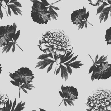 Çiçeksiz desenli, çiçek açan şakayıklar. Romantik botanik baskısı. El çizimi boya kalemi çizimi.