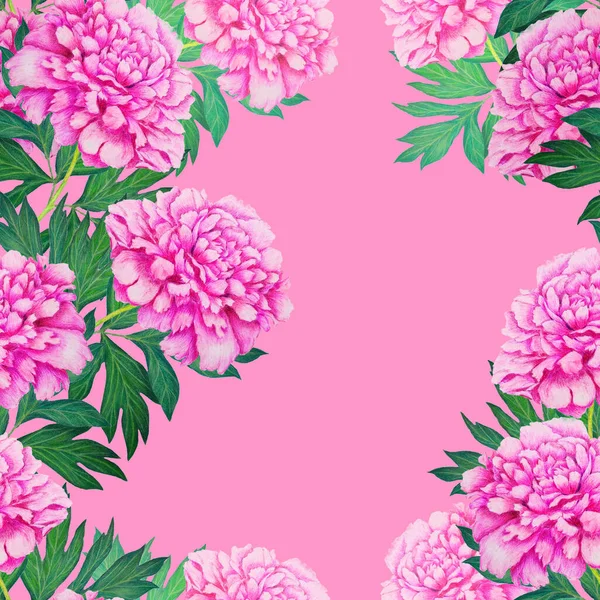 Цветочный Бесшовный Узор Красивыми Цветущими Пионами Романтический Ботанический Отпечаток Ручная — стоковое фото