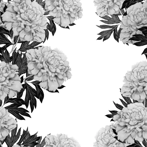 Floral Seamless Pattern Beautiful Blooming Peonies Romantic Botanical Print Hand — Stock Photo, Image