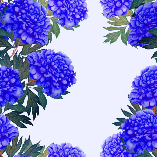 Цветочный Бесшовный Узор Красивыми Цветущими Пионами Романтический Ботанический Отпечаток Ручная — стоковое фото