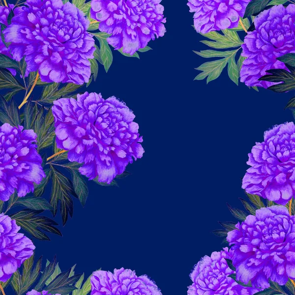 Virágos Zökkenőmentes Minta Gyönyörű Virágzó Bazsarózsa Romantikus Botanikai Lenyomat Kézzel — Stock Fotó