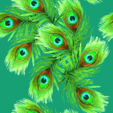 Güzel tavus kuşu tüyleriyle dekoratif, pürüzsüz desen. Moda dokusu. Renkli kalemlerle çizilmiş bir el..