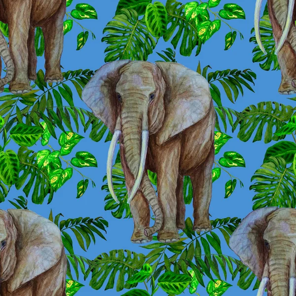 Padrão Sem Costura Aquarela Com Grande Elefante Fundo Tropical Obra — Fotografia de Stock