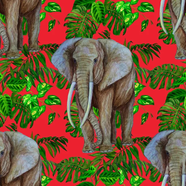 Padrão Sem Costura Aquarela Com Grande Elefante Fundo Tropical Obra — Fotografia de Stock