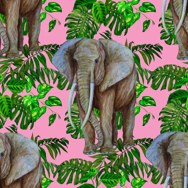 Watercolor seamless pattern with big elephant on tropical background. Artwork in modern style. Creative print.